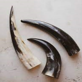 drinkinghorn05